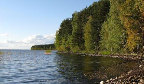 Алекка, Пряжинский район, Республика Карелия