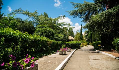 Пансионат Нева, Республика Крым, Алушта