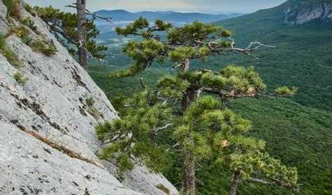 Орлиный залет (Седам-Кая), Крым, Бахчисарайский район