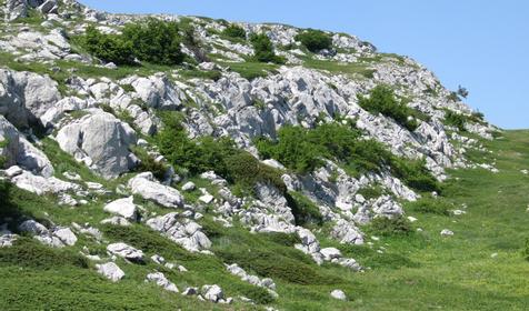 Горный массив Чатыр-Даг, Алушта, Крым