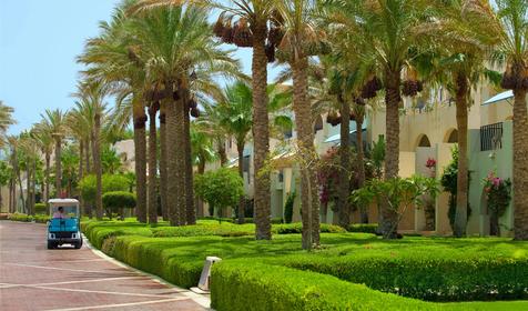 Grand Rotana Resort&Spa