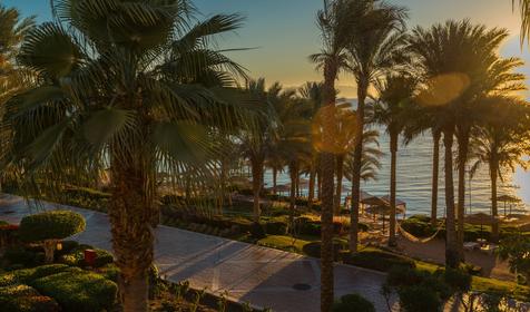 Grand Rotana Resort&Spa